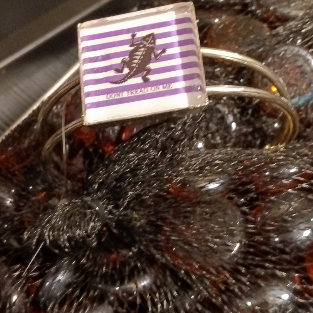 TCU Horned Frog silver bangle bracelet "Don't tread on me" custom made pe…